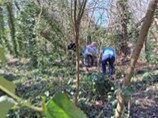 Two people working in a woodland